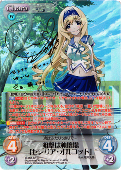 1/3(日)「2015年を振り返って その1」 | トレカの買取・通販ならカード
