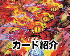 New-一押しロゴ-カード解説-パラド 2.jpg