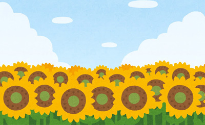 250722SUMMERSALEBlog1.jpg