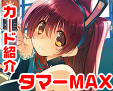 SUMMER SALE第１弾2018.jpg