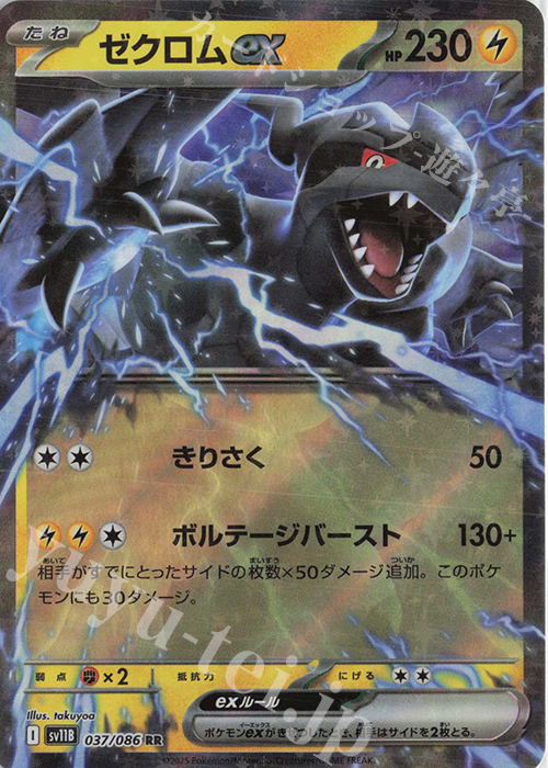 zekuromuex.jpg