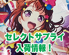 ブログトップロゴ(セレクトサプライ).jpg
