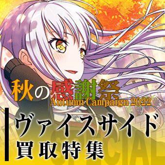 2022秋セール用特集_ヴァイスサイド.jpg