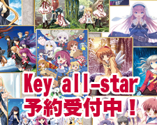keyallstaryoyaku.jpg