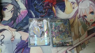 コン鯖×2.jpgのサムネイル画像