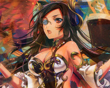 LR プリンセス・ディフェンス 販売 | [WXK-11] リンカーネイション