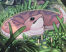 danger_tsuchinoko.jpg