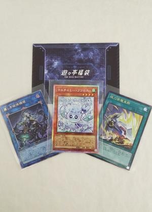 2026Summer1-1.jpg