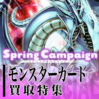 220309Springuキャンペーン特集.jpg