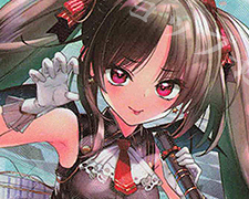 R シーサイドプリンセス アラネ(エンジョイフレーム) 販売 | [E26